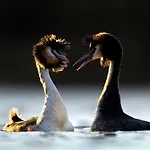 Driftwood Port Haverigg Marina Village * Millom