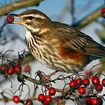 Driftwood Port Haverigg Marina Village Πάρκο διακοπών *