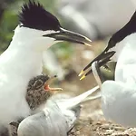 Driftwood Port Haverigg Marina Village Millom