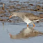 Driftwood Port Haverigg Marina Village