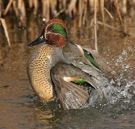 Parco vacanze Driftwood Port Haverigg Marina Village