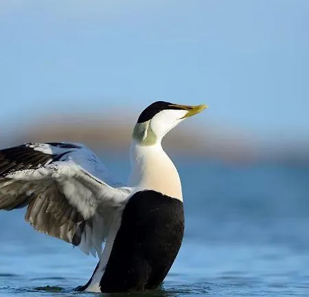 Driftwood Port Haverigg Marina Village * Millom
