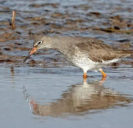 Driftwood Port Haverigg Marina Village